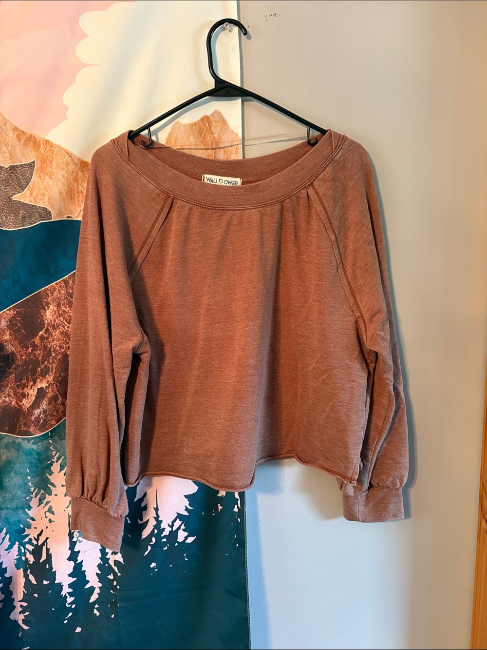 Women's Rust Long-Sleeve Pullover Top